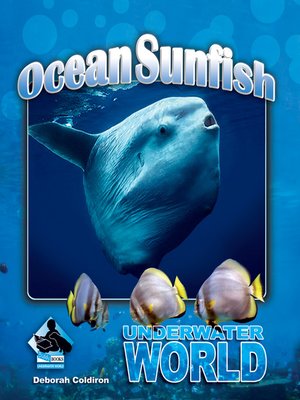 cover image of Ocean Sunfish